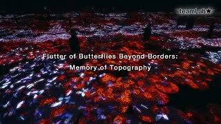 Flutter of Butterflies Beyond Borders: Memory of Topography