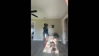 Dog Tricks  #fypyoutube #funnydog #dogs #doggielife #funnypet #funny #creativecontentcreator #dogmom