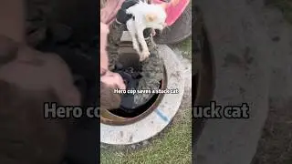 The toughest cop saved the softest soul#love#cat#save#police#fyp#foryou