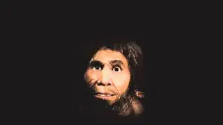 Zezva -  Homo Georgicus