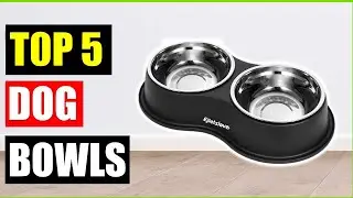 Top 5 Best Dog Bowls on Amazon of (2026) 🐶 | Top Picks & Honest Reviewed!