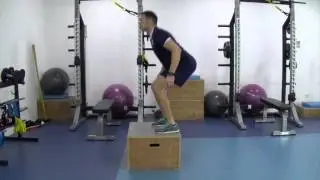CM Box Jump (Landing Mechanics)