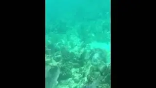 Subsea baby