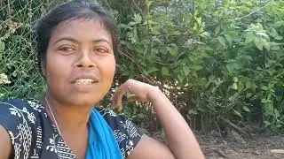 खलिहान का सारा काम खत्म हो गया #Farming life#Vlog-56#Rashmi Kawita Vlog 