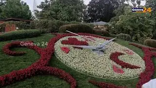 70 Years of Geneva&rsquo;s Flower Clock 🌸⏱ A Swiss Icon Celebrates Its Anniversary