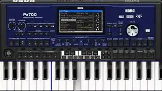 SET ORG PA 700 (TEST)