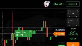 FOREX RELAY ACCOUNT PROFESSIONAL