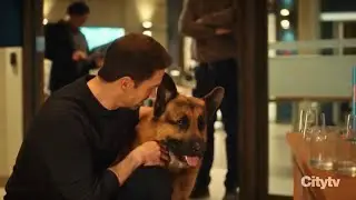 Hudson & Rex Season 8 Episode 4 Recap Episode HD