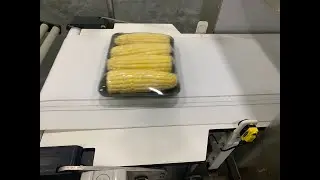 PROEX FOOD Fresh-Cut Sweet Corn Processing Line; Tray-Packed and Overwrapped