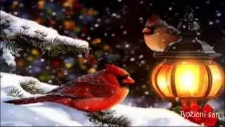 BOŽIĆNI SAN🎄 KIKIĆI -DJEČJA PJESMICA