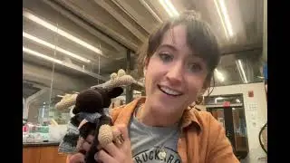 Elizabeth Forbes, Ph.D.  |  Yale University  | School of the Environment