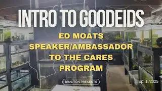 Intro To Goodeids