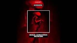 Encephalon - A Lifetime Of Puppertry (Nova Spire Remix)