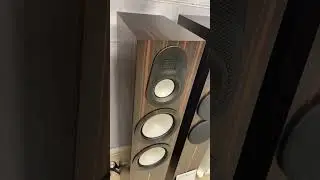 Bad look MONITOR AUDIO DALI high end #speakers #hifi gear #hifichoice #hifigear #audiophilespeakers