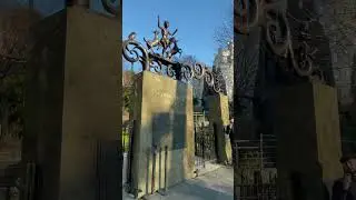 5 Things to do in Central Park zoo without a ticket.