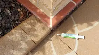 A1 Pest Control ant service in Cherrybrook