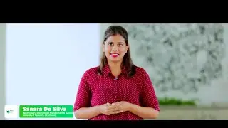 Foundation Programme for Bachelor's Degree