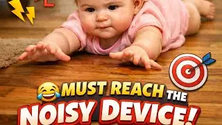 &ldquo;Mission: Reach the Noisy Thing!&rdquo;#ytshorts #shortsvideo #viralshorts  #adorable #lol