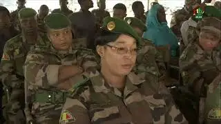 Actualités AES/ Mali : Fin de formation de spécialisation Génie Militaire