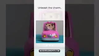 Masquerading Pets 4 Legged Friend Tip 1110