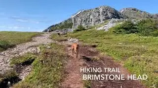 Exploring & Hiking Fogo Island Newfoundland