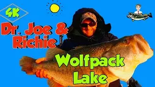 Dr Joe at Camelot Bell/Wolfpack