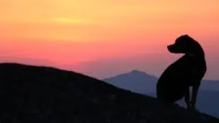 Appalachian Trail - Carvers Gap to 19E