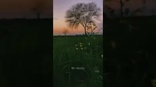 relaxing and meditation video #status #WhatsAppstatus #IGstatus