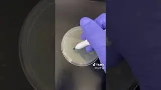 How dirty is a shoe?