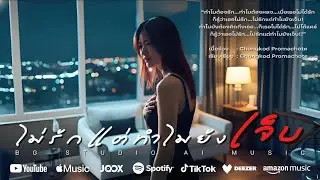 ไม่รักแต่ทำไมยังเจ็บ (Official Lyric Video) Rock Ballad |ทำไมต้องรัก…ทำไมต้องหลง…เมื่อเธอไม่ได้รัก|