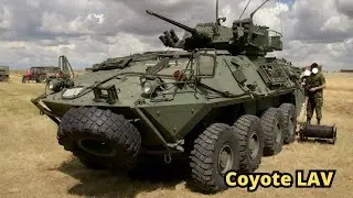 Coyote LAV