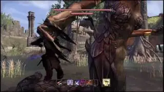 ESO Trying to pickpocket a world boss.