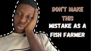 Don&rsquo;t Make This Mistake As A Catfish Farmer