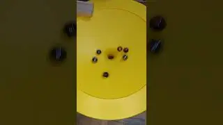 🌈🚦Epic ✨️ Marble Race | oddlysatisfying | Marbles Run Race ASMR | Haba | Funnel | Jungle | chrome 🐢🐢