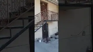 temir.  zina