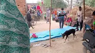 गांव का सोहर गीत ! बधावा गीत ! बधवा बजाने गांव में कैसे आते हैं लोग ! किन्नर ने किया बच्चे का स्वागत