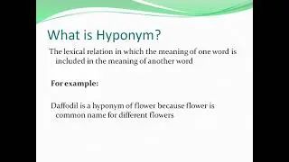 WHAT IS HYPONYM?|WHAT IS CO-HYPONYM?|