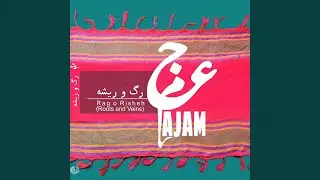 Tayyebeh Jan
