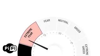 Pi-Fi -  Extreme Fear