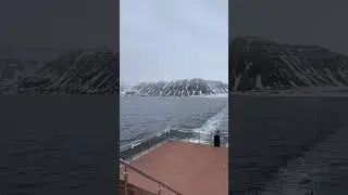 When in arctic #north #wildlife #polar #fyp #animals #viralvideo #ice  #polar #world