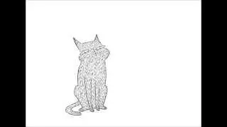 Poots the Cat Animation