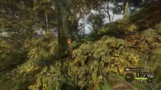 Tracking my trophy
