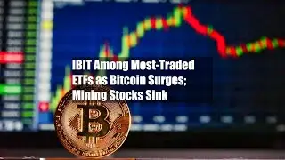 IBIT входит в число наиболее торгуемых ETF на фоне роста биткоина и падения акций майнинговых ком...
