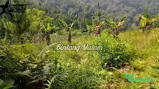 POP SUNDA _MAWAR BODAS_BUDAK JALANAN_BOGOH KASAHA || FRISKA GASENTRA PAJAMPANGAN TERBARU 2026