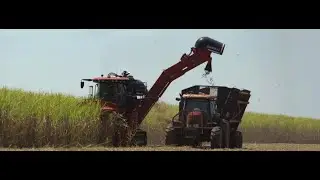Behind the Wheel: &ldquo;Simply The Best&rdquo; &ndash; 75 Years Of Mechanized Sugar Cane Harvesting