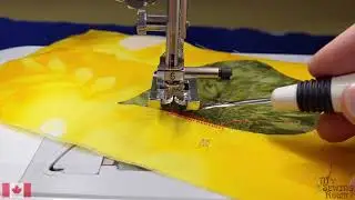 Brother Level 2 Part 8: Satin Stitching for Applique