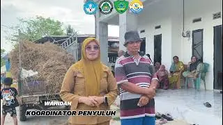 Zero Waste Livestock Integrasi Limbah Pertanian dan Tanaman Indigofera sebagai Solusi Pakan Complate