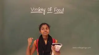 STATE 3 - EVS - VARIETY OF FOOD - PART 1