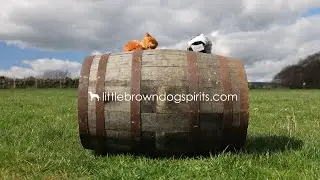 Bottled by Rules - Not by Nature