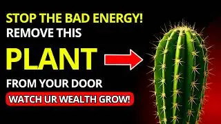 STOP!!! 5 Dangerous Plants That Block Positive Energy and Wealth in Feng Shui | Buddha's Odyssey